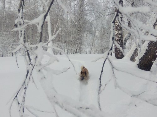Прогулялись