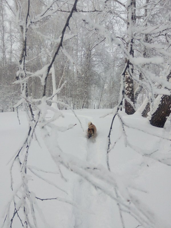 Прогулялись