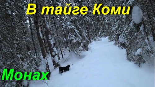Промысловая рыбалка. ВСЕМ ВРАГАМ НА ЗЛО...!!!
