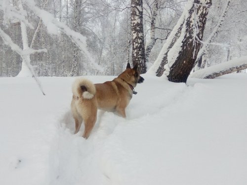 Прогулялись
