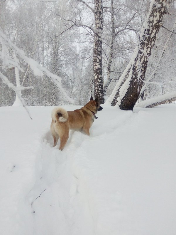 Прогулялись
