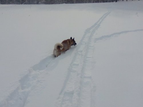 Прогулялись