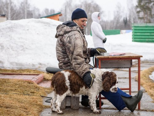 Мой фотоотчет с Весеннего кубка-2019. Часть 1