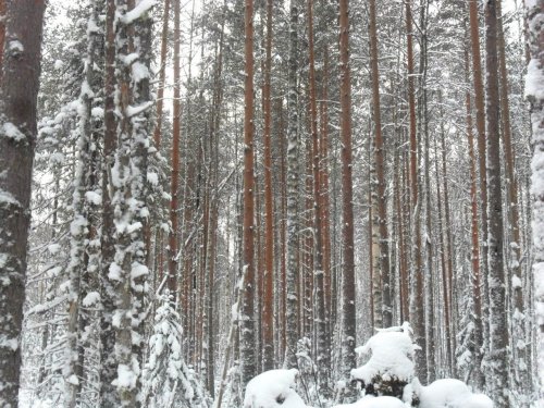 Прошлое
