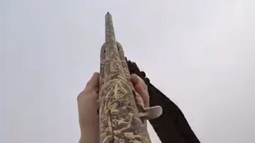 Открытие весенней охоты на гуся