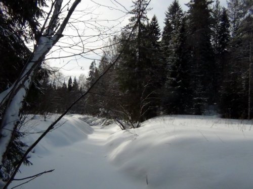 Лесная речка (март)