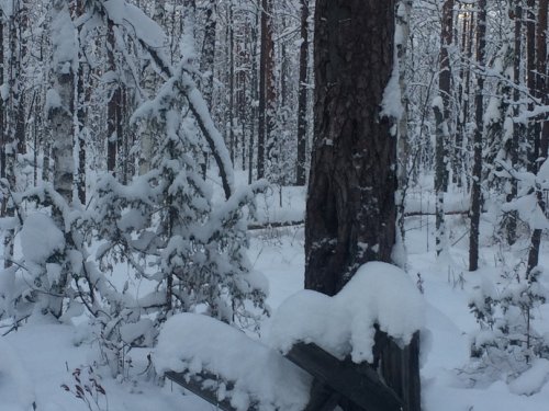 Прошлое. Ч. 2