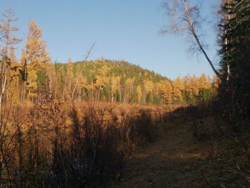 В пойме реки