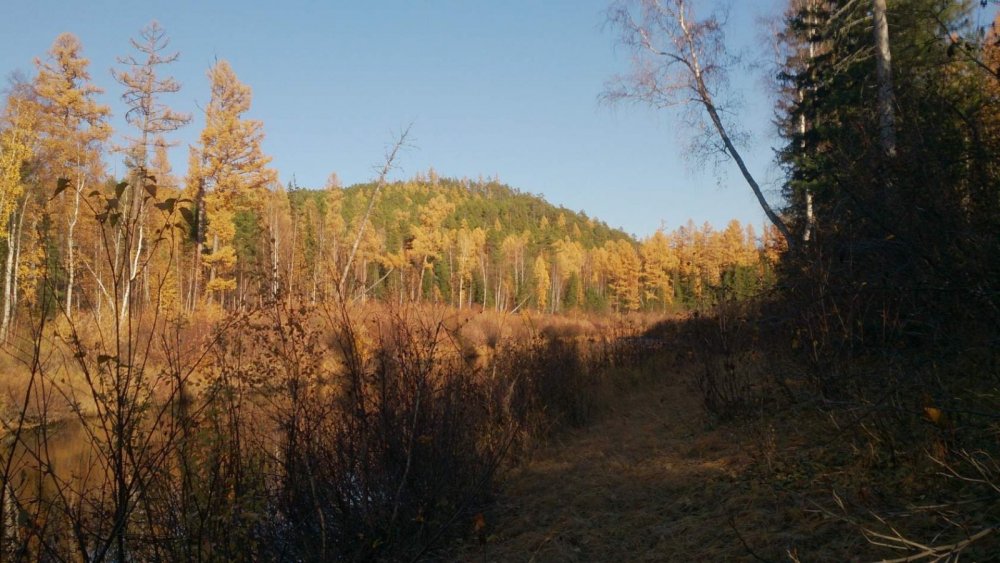 В пойме реки
