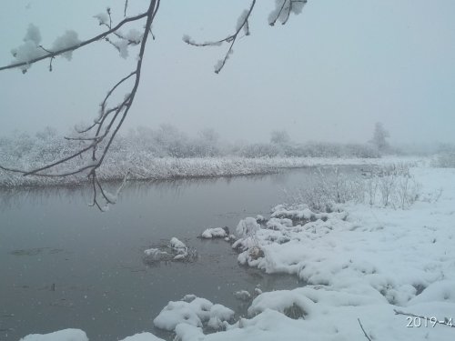 Место охоты.