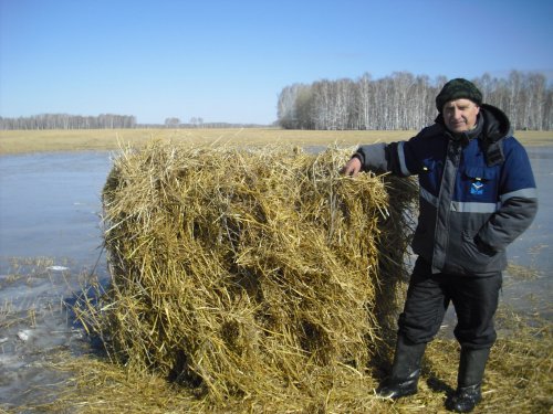 Весенний марафон.