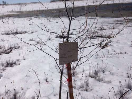 Скрадок