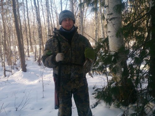 Рябчик