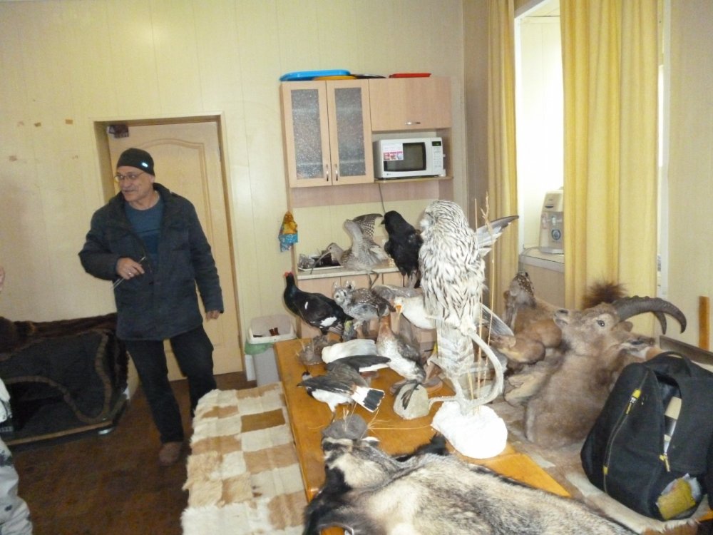 Таксидермист