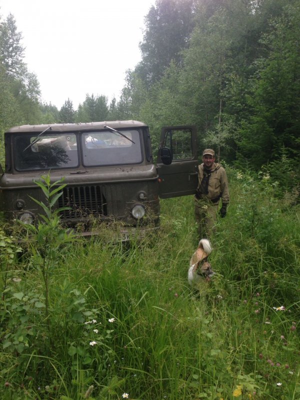 Заброска в тайгу