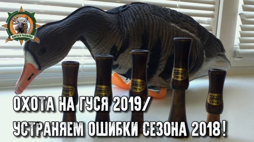 Охота на гуся 2019. Подготовка. Выбор чучел и манков