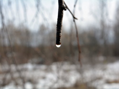 Сок