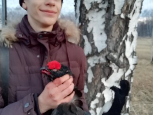 Мой долгожданный трофей