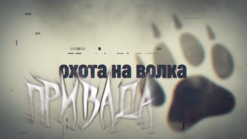 Охота на волка c ПУЛЬСАР ГУРУ, фильм первый.