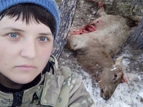 Волки задрали молодого изюбря шильника