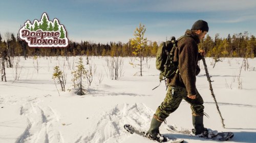 ПОХОД В ЛЕС.  Красивая снежная тайга в апреле. Снегоступы.