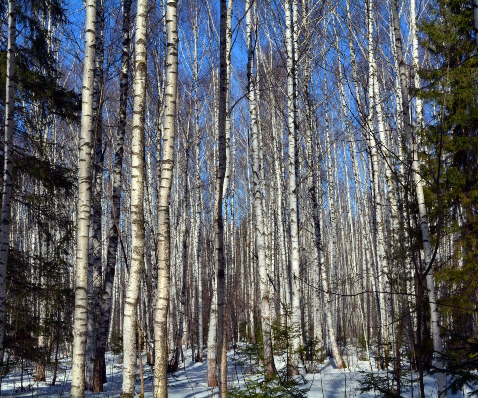 Апрельское солнце