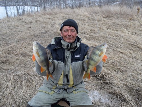Окушки.