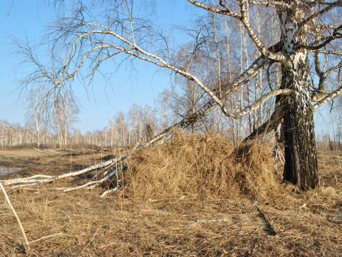Жаркое открытие весной 2010.