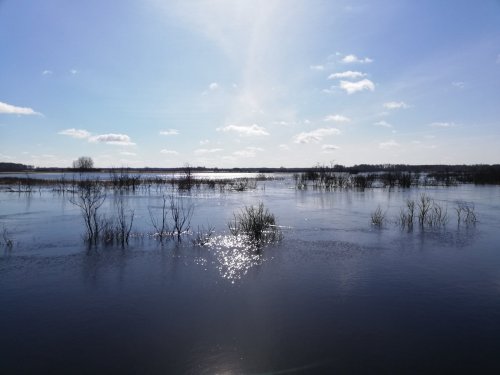 Вода сбежала от реки