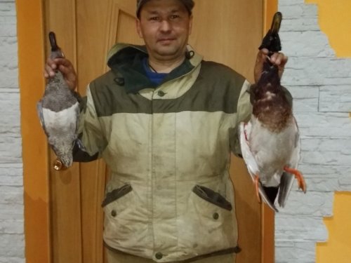 Вечерка.