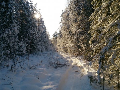 Старый зимник