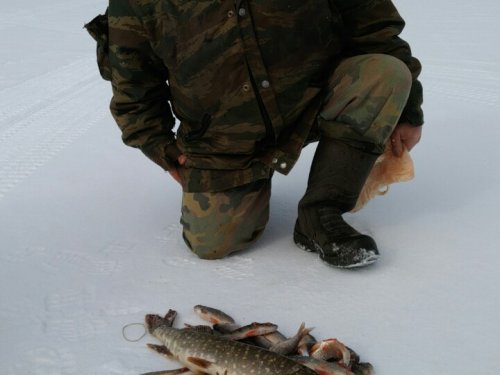 "отвёл душу")