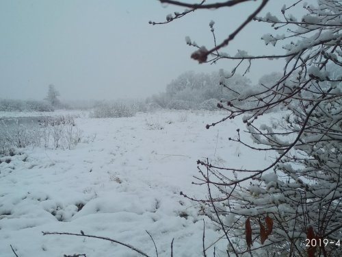 Зима однако.