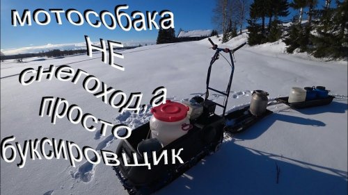 МОТОСОБАКА БЕЗ НАПРЯГА ТАЩИТ 200 ЛИТРОВ ВОДЫ!