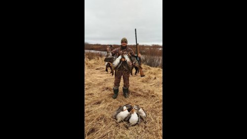 Охота на гуся. Часть 1. Весенняя охота на Севере