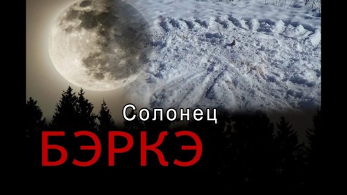 Охота на волков в Якутии. Солонец. Попалась самка./Hunting in Yakutia