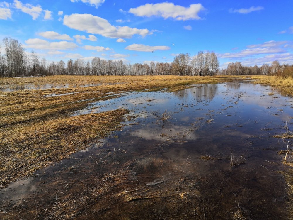 Все поля в воде