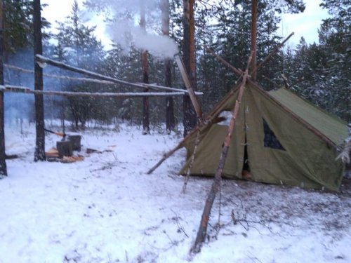 Про «подснежники в декабре».