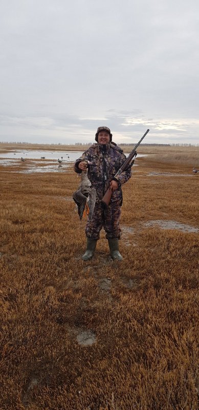 Белолобый 2019