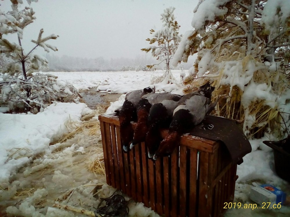 Утро