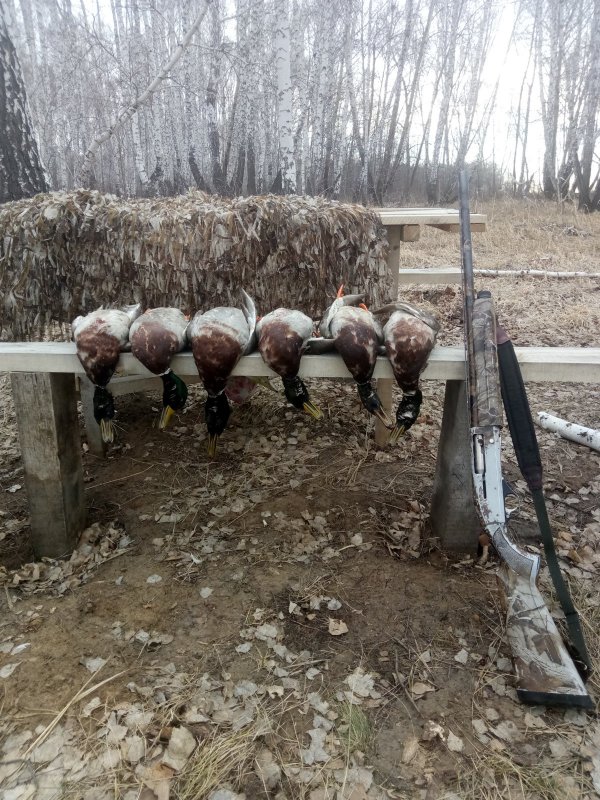 На зорьке