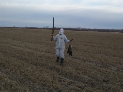 Весна 2019