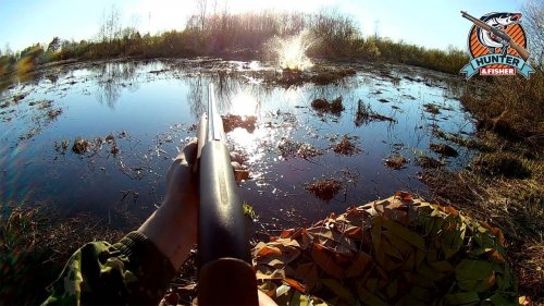 Duck hunting