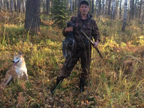 Октябрьский петух из под лайки
