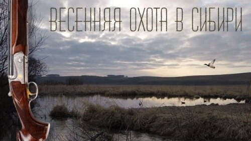 Весенняя охота, открытие. Скрадок, манок, чирок.