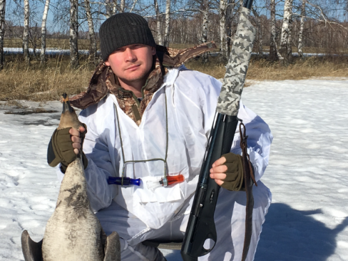 Гусь 2019