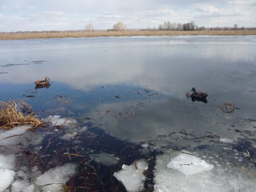 На своём разливе...