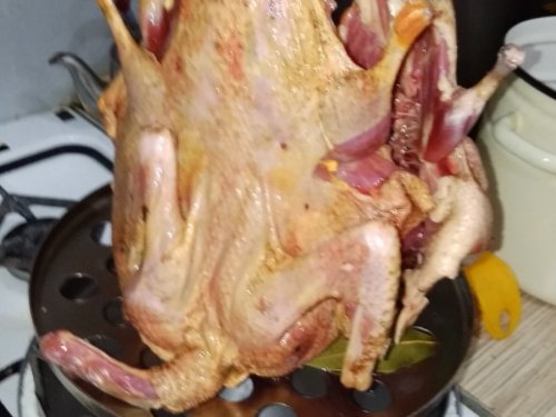 Весенние чирки