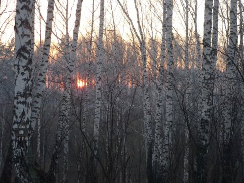 Охотничье межсезонье....