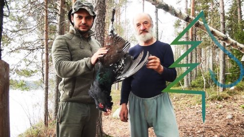 Как мы с Петровичем на глухариный ток в Карелию поехали